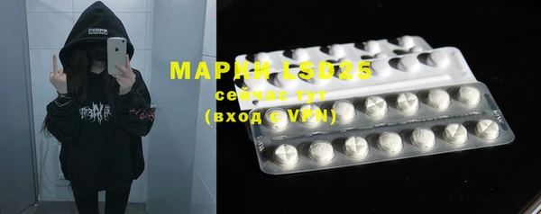 ECSTASY Горняк