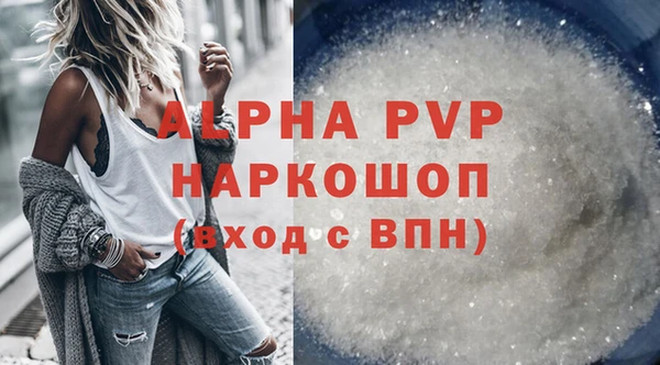 ECSTASY Горняк