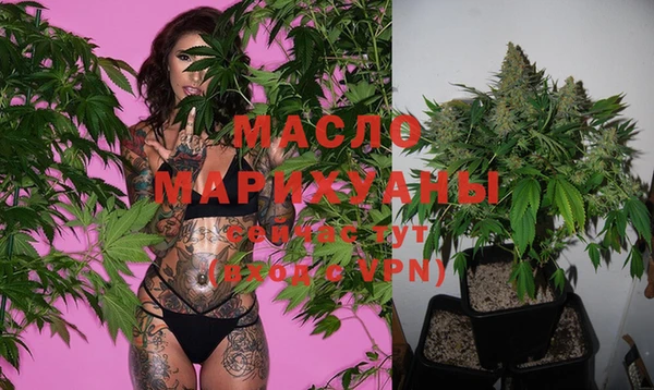 ECSTASY Горняк